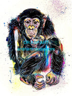 Chimp: when I'm feeling blue I'll just think of you