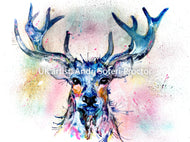 Stag - multi coloured background