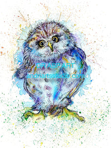 Blue Bell - the gorgeous tiny owl