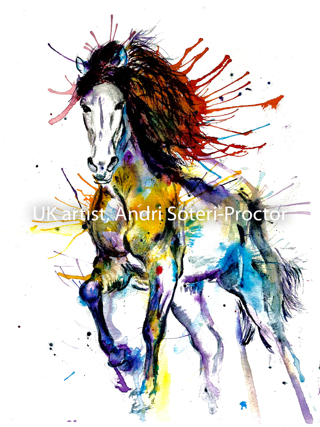Multi-coloured horse
