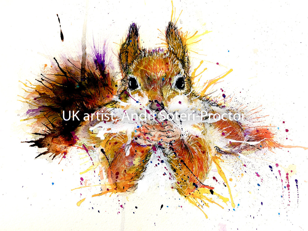 Squirrel admiration