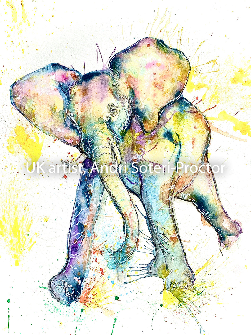 Happy baby elephant - kicker